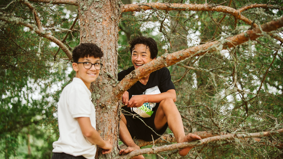 Två ungdomar klättrar i ett träd.