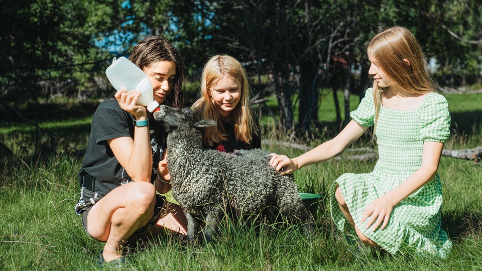 Två barn och en kolloledare klappar och matar ett lamm med nappflaska.