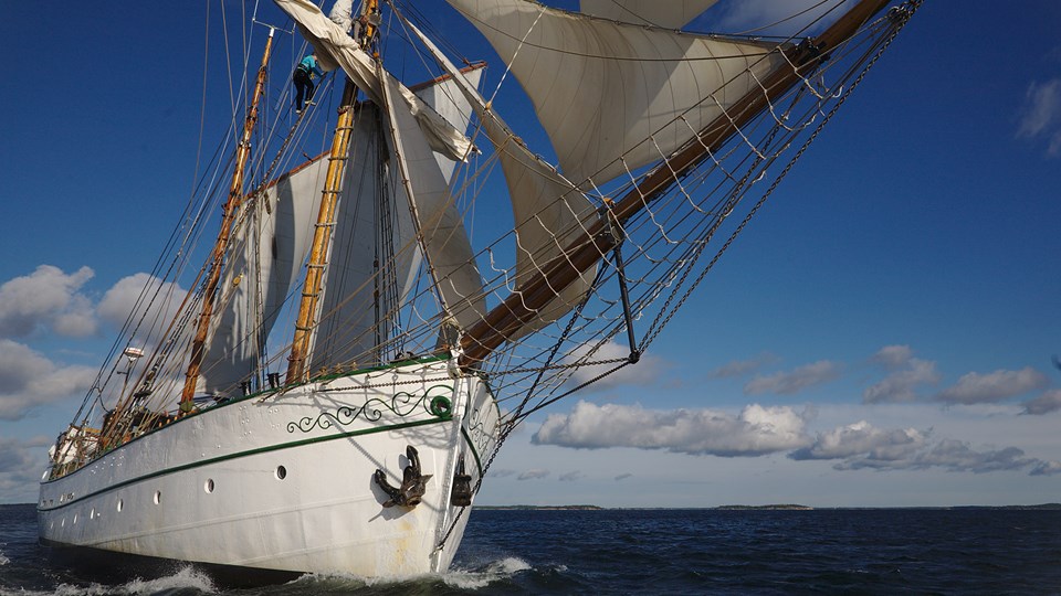 Fartyget Shamrock med hissade segel, sedd framifrån.