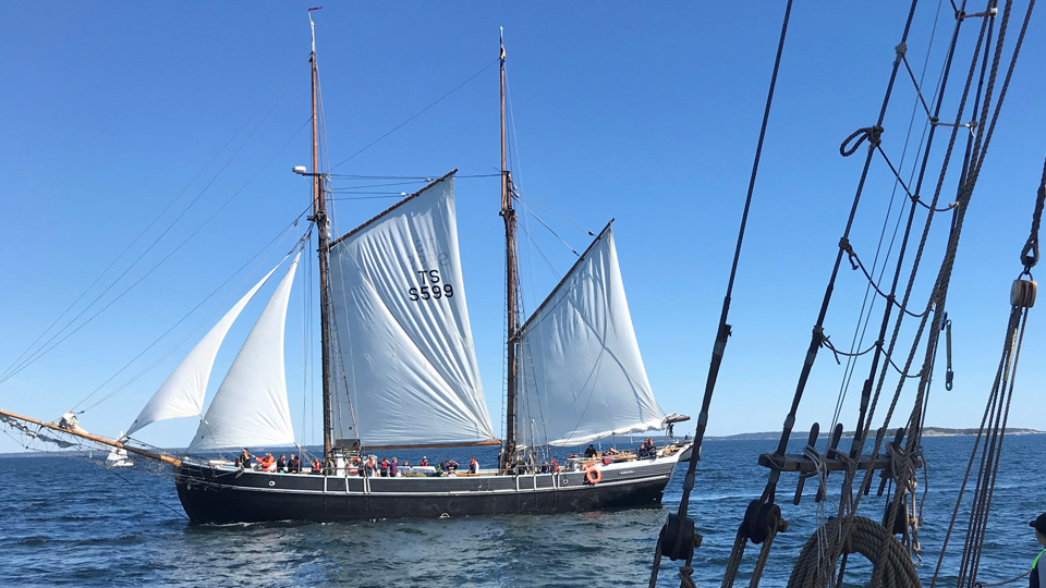 Ett fartyg med hissade segel ute på havet, med blå himmel.